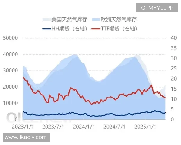 探索LNG市场的灵活性表现与数据分析方法的深度结合