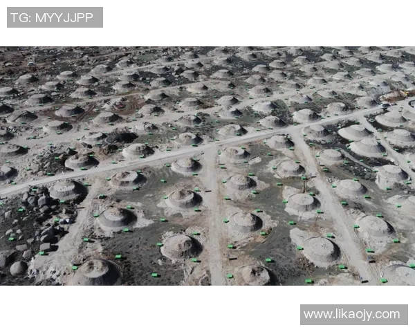 青年赛中JDG展现惊人速度表现的深度分析与点评实时数据